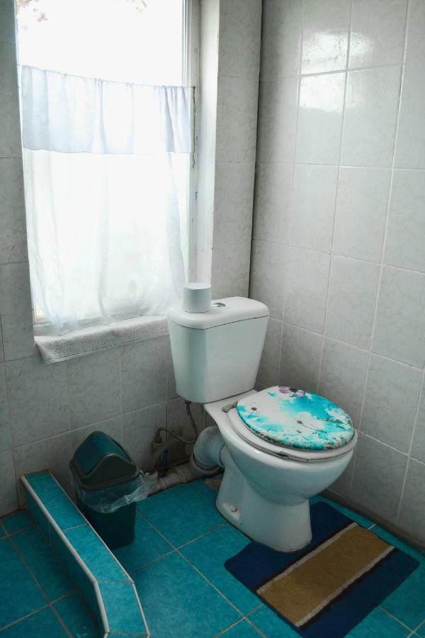 Guesthouse Bermet Tong エクステリア 写真