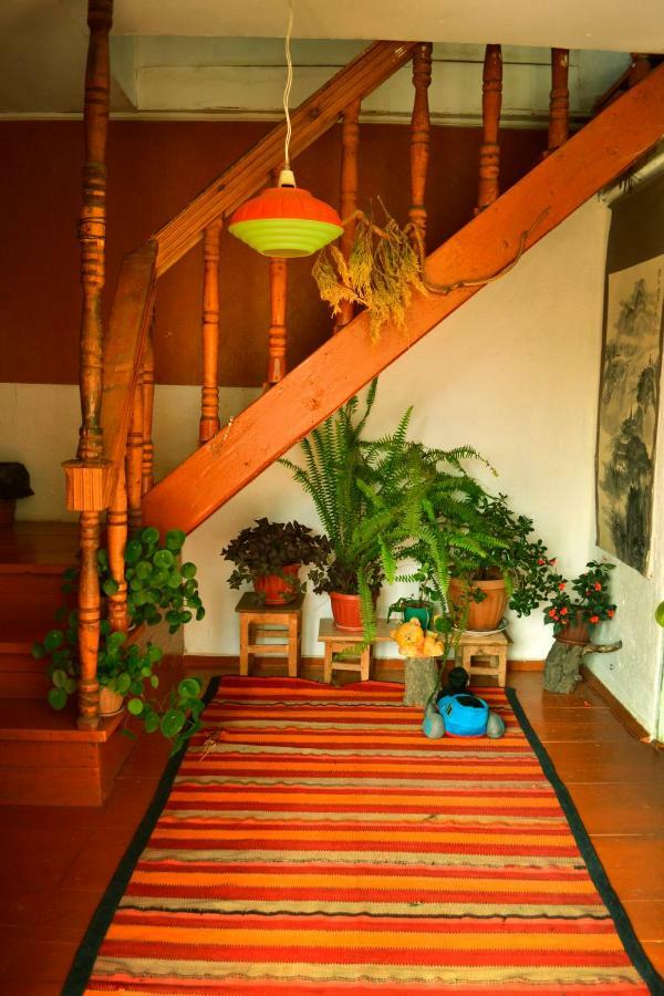 Guesthouse Bermet Tong エクステリア 写真